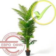 ������ �������������. ����