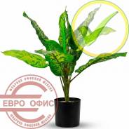 ����������� �������������. ����