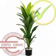 ������� �������������. ����