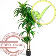 ������� �������������. ����