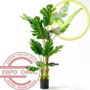 �������� �������������. ����