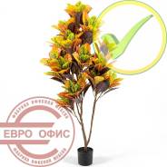 ������������� �����, ��������. ����