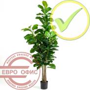 ������� �������������. ����