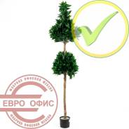 ������������� �����, ��������. ����