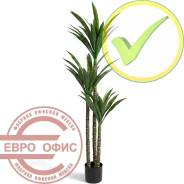 ������� �������������. ����