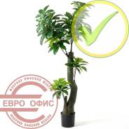 ������������� �����, ��������. ����