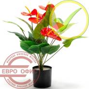 ��������� �������������. ����