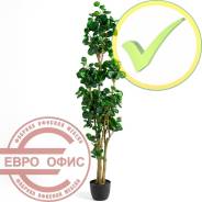 ������ �������������. ����