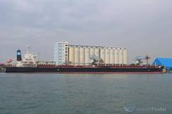 �������. ��� "���������". �������� ������������ 12 ����