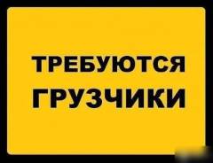 �������-������������. ��� ������ ����