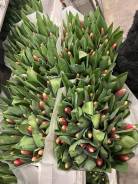 ��������. ����