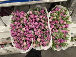 ��������. ����