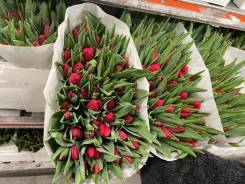 ��������. ����