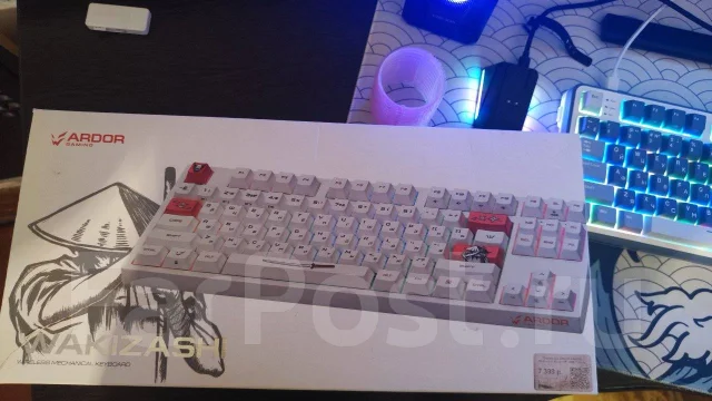 ����������. ����