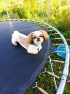 ��-���. ����