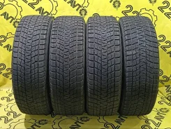 Bridgestone Blizzak DM-V1