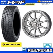 Abelia Sport