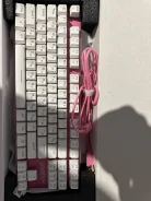 ����������. ����