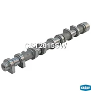 ��� ����������������� CST2015SW CST2015SW ����