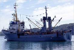 ������� �������. ��� �� "����� ���" (�� "���������"). ����� ���������� 3 ����