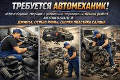 �����������-�������������. ��� �������. ����� ��������� 31 ����