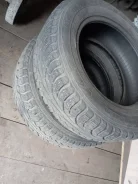 Nordman 5. ������, ����������, �/�, ����� 80 % ����
