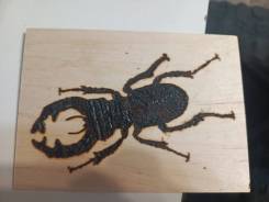 �������� � �������� �� ���������� ����