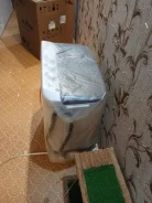 Aceline. �������� 4,5��� ����