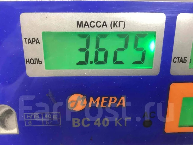 ���� ��������� EBS MAN K020024 K020024 ����