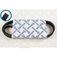 ������ ������������ 5PK810 BMW E46/E39/E38 3.0TD 98, Citroen Berlingo 1.6 16V 00-02 0500810SX ����
