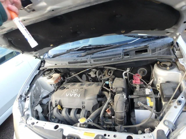 Toyota ist. NCP65, 1NZFE ����