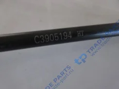 ������ ��������� 3905194 3905194 ����