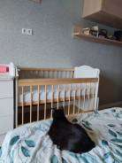 �������� �� ���������. ������� ����. ����� ����������� 2 ����