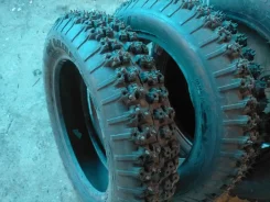Lappi. ������, ����������, 2019 ���, �/�, ����� 10 % ����