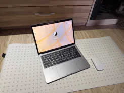 Apple MacBook Pro. 3,1����, ��� 16 ��, ���� 500���, WiFi: 1, Bluetooth: 1 ����