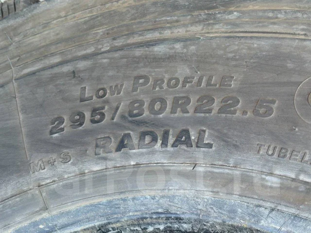 Bridgestone W911II Ecopia. ������, ��� �����, 2020 ���, �/�, ����� 5 % ����