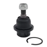 ����� ������� | ����� ����/��� | CTR CB0283 / CBMZ-36 CB0283 ����