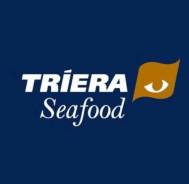 ������ �������. �� ������ (��� �����) ����