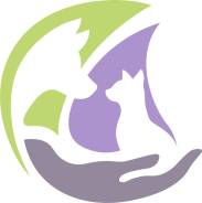 ������������� �������. �� �������� �.�. ���������� ����, ��������������� ��������� �����, �����������, ����� ������� 5� ����