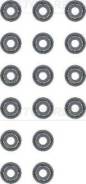 �������� ���������, �������� ������� Victor Reinz [125367801] 125367801 ����