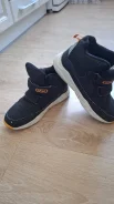 ���������. 34 ����