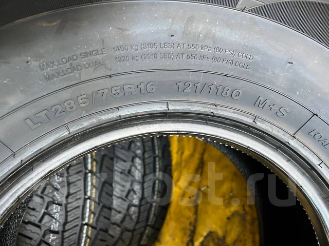 Hilo XT1. �����������, 2026 ���, ����� ����