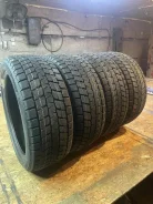 Bearway BW-Ice. ������, ��� �����, 2025 ���, ����� ����