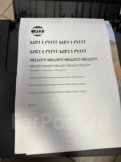 ��������. ����