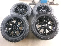 RAYS Team Daytona FDX F7
