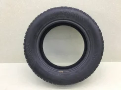 Nokian Hakkapeliitta