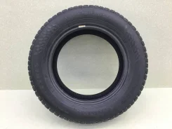 Nokian Hakkapeliitta