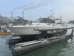 Honda. 2023 ���, ����� 10,7��., ��������� ���������, 500��.�., ������. ��� ����� �� ���������� ����