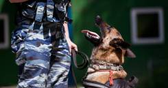 �������. ��� ���-23 ������ ������ �� ����������� ����. �������� ���������� 3� ����