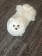 ����. ����